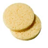 Éponges Cellulose Peggy Sage X 25